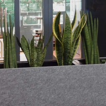 Van petflessen tot plantenbak Akoestische plantenbak