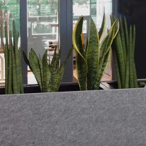 Van petflessen tot plantenbak Akoestische plantenbak